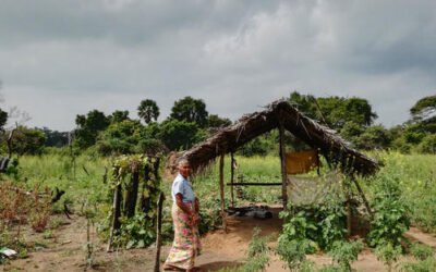 When crises converge: how uneven agrarian development influences the effects of climate change in Sri Lanka’s North-Central dry zoneHarry M. Quealy and Cherisma Rajaratnam