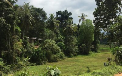 What is this Crisis? Ahilan Kadirgamar