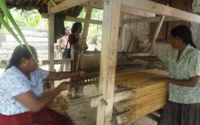 Women’s Labour Force Participation: Choice Versus Necessity Ranmini Vithanagama