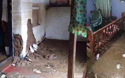 Policing the Patriline: Reading the Current Economic and Political Crisis through the Plantation Mythri Jegathesan