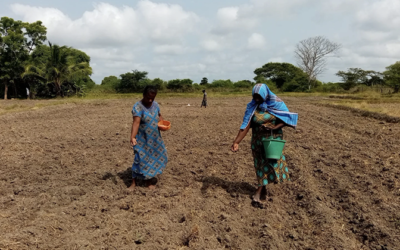 Victims or Saviours? Women in Climate Adapted Agriculture Projects in Sri Lanka’s Dry Zone Nethmi Bathige