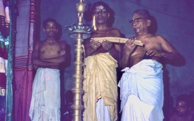 Gananath Obeyesekere: Dazzling Scholar of Integrity Dennis B. McGilvray