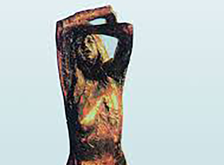 Laughter, Debate, and Dissent: Personal Glimpses of Gananath Obeyesekere  Selvy Thiruchandran