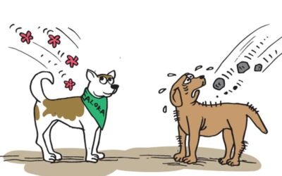 A ‘Duty of Care’ to Animals: Two Decades of Struggle for Law Reform in Sri Lanka Kasun Kavishka